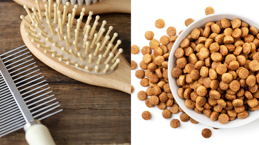 Consumer Goods & Pet Products